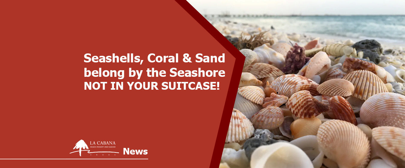 LCBRC SCS Do Not Take Home News